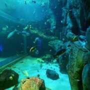 ヒメ日記 2025/11/03 20:30 投稿 しほ ダック京都