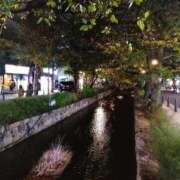 ヒメ日記 2025/11/13 22:44 投稿 しほ ダック京都