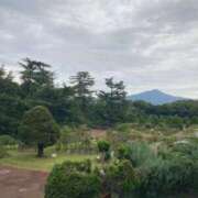 ヒメ日記 2025/11/20 21:05 投稿 しほ ダック京都