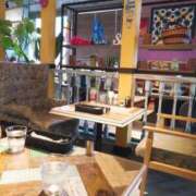 しほ 12月11日(木) ダック京都