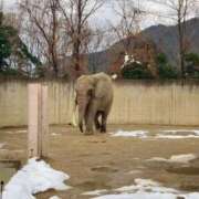 ヒメ日記 2026/01/04 21:00 投稿 しほ ダック京都