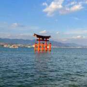 ヒメ日記 2026/01/08 21:11 投稿 しほ ダック京都