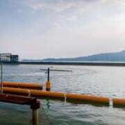 ヒメ日記 2026/01/10 20:40 投稿 しほ ダック京都