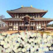 ヒメ日記 2026/01/22 20:00 投稿 しほ ダック京都