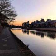 ヒメ日記 2026/02/12 19:15 投稿 しほ ダック京都