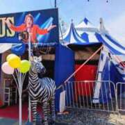 ヒメ日記 2026/03/25 19:55 投稿 しほ ダック京都