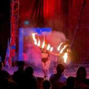 ヒメ日記 2026/03/26 20:30 投稿 しほ ダック京都