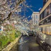 ヒメ日記 2026/03/29 21:50 投稿 しほ ダック京都