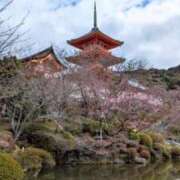 ヒメ日記 2026/04/18 22:11 投稿 しほ ダック京都