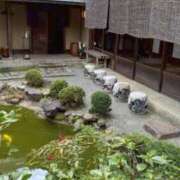 ヒメ日記 2026/04/25 20:05 投稿 しほ ダック京都