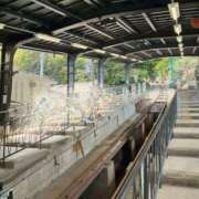 ヒメ日記 2026/04/27 19:30 投稿 しほ ダック京都