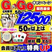 しほ 本日出勤⭐ ダック京都