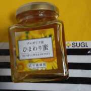 ヒメ日記 2025/08/25 00:37 投稿 まこ ダック京都