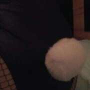 ヒメ日記 2025/11/10 00:19 投稿 まこ ダック京都