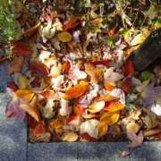 ヒメ日記 2025/11/23 00:12 投稿 まこ ダック京都