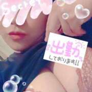 ヒメ日記 2025/08/07 20:07 投稿 りな ダック京都