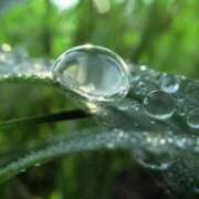 ヒメ日記 2025/09/05 16:35 投稿 吉見りな 彩タマンサ（埼玉ハレ系）