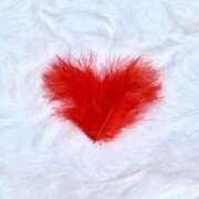 ヒメ日記 2025/10/17 12:47 投稿 吉見りな 彩タマンサ（埼玉ハレ系）