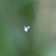 吉見りな 冬の訪れ❄️ 彩タマンサ（埼玉ハレ系）