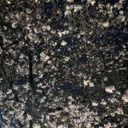 ヒメ日記 2026/03/30 12:37 投稿 吉見りな 彩タマンサ（埼玉ハレ系）