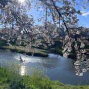 ヒメ日記 2026/04/03 15:32 投稿 吉見りな 彩タマンサ（埼玉ハレ系）