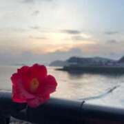 ヒメ日記 2025/01/28 00:14 投稿 りか 大阪ぽっちゃりマニア 谷九店