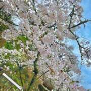 ヒメ日記 2025/04/25 22:46 投稿 りか 大阪ぽっちゃりマニア 谷九店