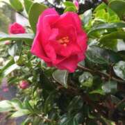 ヒメ日記 2025/07/22 15:30 投稿 りか 大阪ぽっちゃりマニア 谷九店