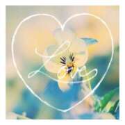 ヒメ日記 2024/12/22 15:48 投稿 あさひ 静岡人妻援護会