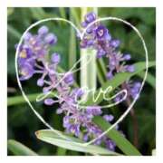 ヒメ日記 2024/12/24 17:18 投稿 あさひ 静岡人妻援護会