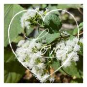 ヒメ日記 2025/01/12 00:03 投稿 あさひ 静岡人妻援護会