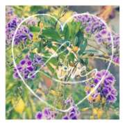 ヒメ日記 2025/01/22 21:06 投稿 あさひ 静岡人妻援護会