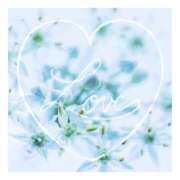 ヒメ日記 2025/02/13 18:50 投稿 あさひ 静岡人妻援護会