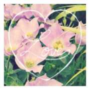 ヒメ日記 2025/02/22 00:50 投稿 あさひ 静岡人妻援護会