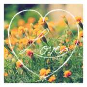 ヒメ日記 2025/03/12 21:03 投稿 あさひ 静岡人妻援護会