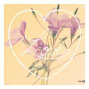 ヒメ日記 2025/03/31 22:18 投稿 あさひ 静岡人妻援護会