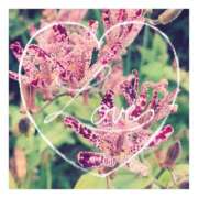 ヒメ日記 2025/04/05 20:48 投稿 あさひ 静岡人妻援護会