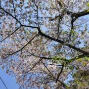 ヒメ日記 2025/04/10 00:04 投稿 あさひ 静岡人妻援護会