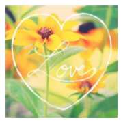 ヒメ日記 2025/04/24 22:19 投稿 あさひ 静岡人妻援護会