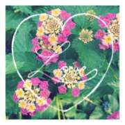 ヒメ日記 2025/05/28 22:03 投稿 あさひ 静岡人妻援護会