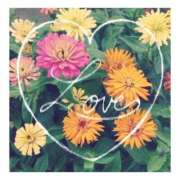 ヒメ日記 2025/06/11 23:06 投稿 あさひ 静岡人妻援護会