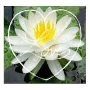 ヒメ日記 2025/07/23 21:24 投稿 あさひ 静岡人妻援護会