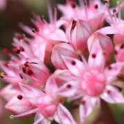 ヒメ日記 2025/08/23 00:09 投稿 あさひ 静岡人妻援護会