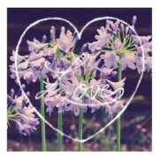 ヒメ日記 2025/12/03 21:18 投稿 あさひ 静岡人妻援護会