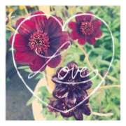 あさひ 12/15♪ありがとう 静岡人妻援護会