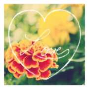 ヒメ日記 2026/02/07 00:04 投稿 あさひ 静岡人妻援護会