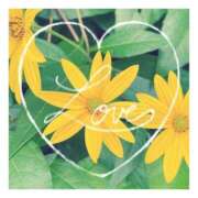 ヒメ日記 2026/02/07 01:03 投稿 あさひ 静岡人妻援護会