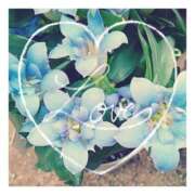 ヒメ日記 2026/02/11 22:03 投稿 あさひ 静岡人妻援護会