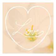 ヒメ日記 2026/02/11 22:18 投稿 あさひ 静岡人妻援護会