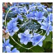 ヒメ日記 2026/02/25 20:04 投稿 あさひ 静岡人妻援護会